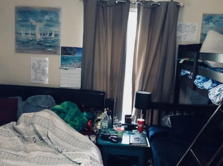 Purple Nautilus-before